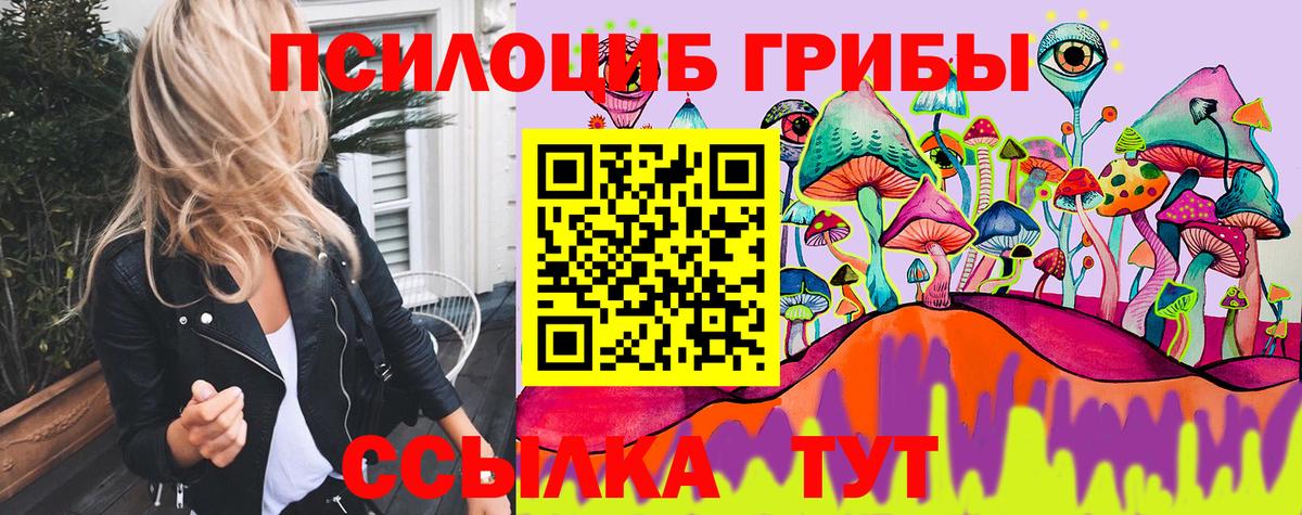 Галлюциногенные грибы Magic Shrooms Вятские Поляны